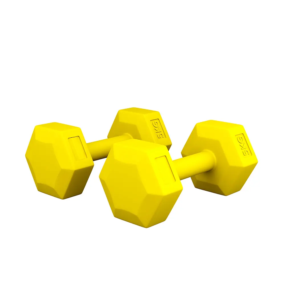 DFX Cement Dumbbell - Afbeelding 1