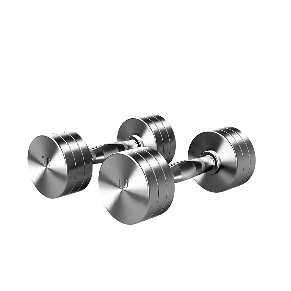 DFX Chrome Dumbbell - Afbeelding 1