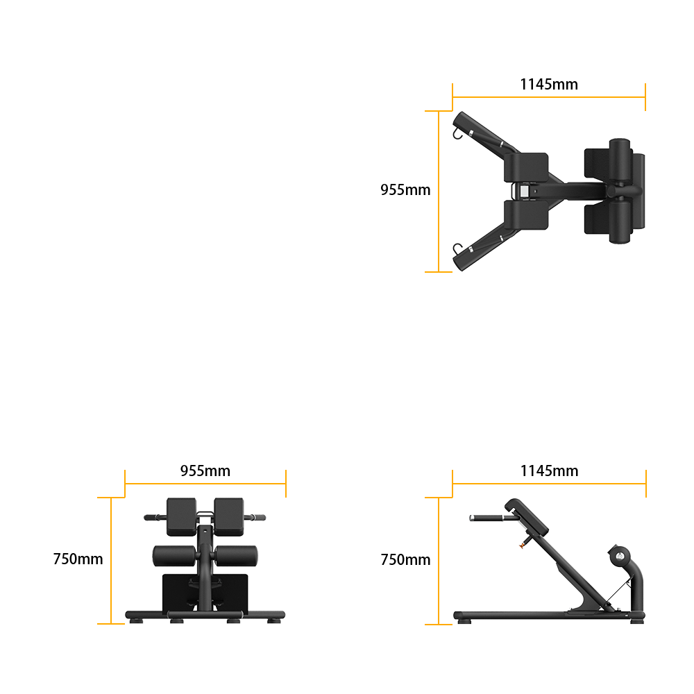 Back Extension thumbnail 5