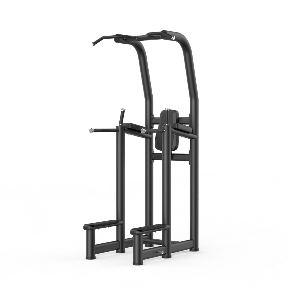 Multi Pull Up -Dip Rack