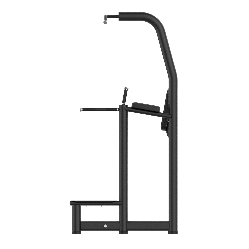 Multi Pull Up -Dip Rack 3
