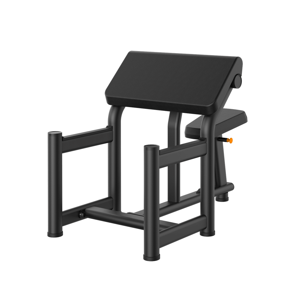 Preacher Curl Bench