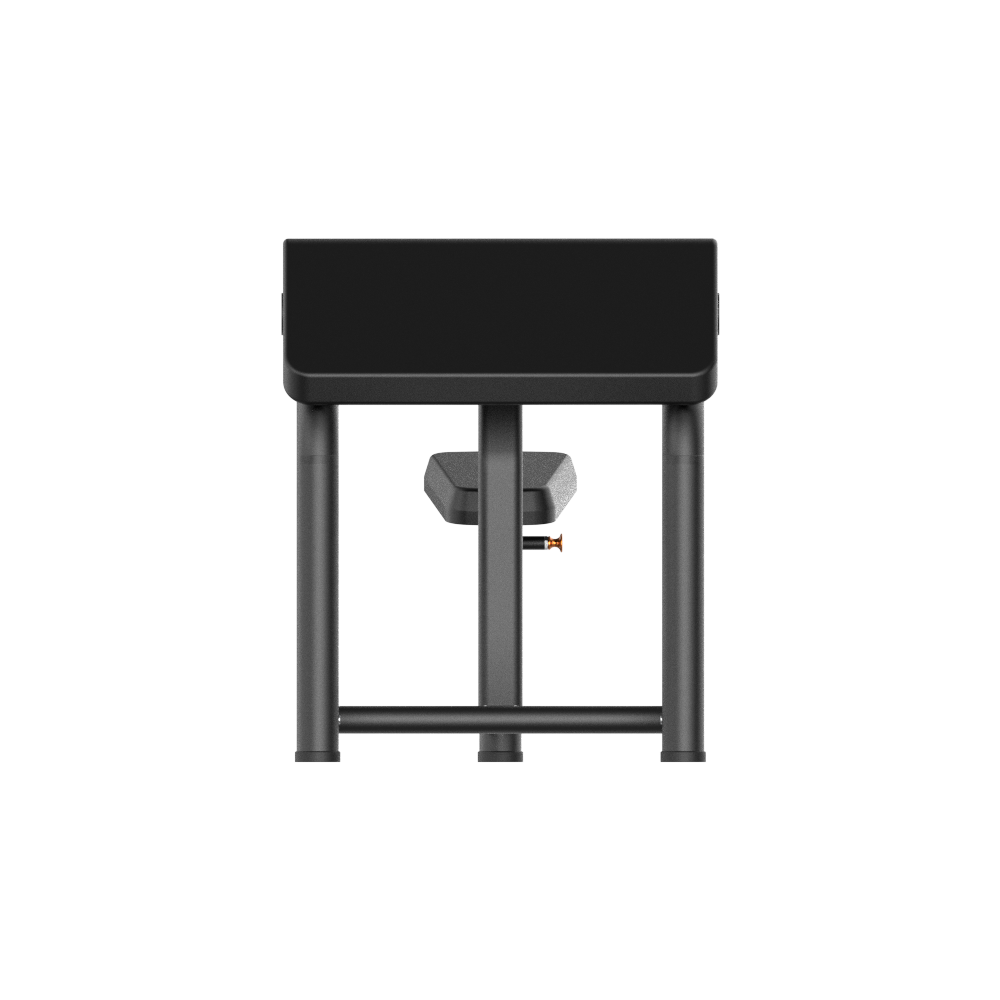 Preacher Curl Bench 2