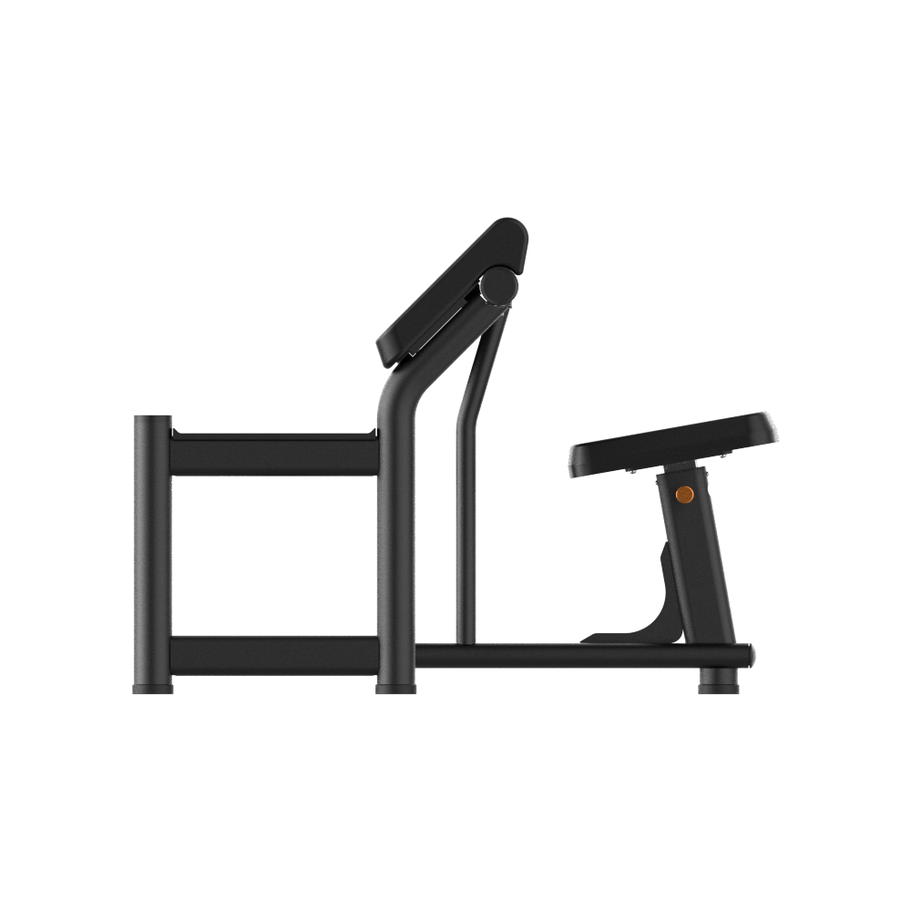 Preacher Curl Bench 3
