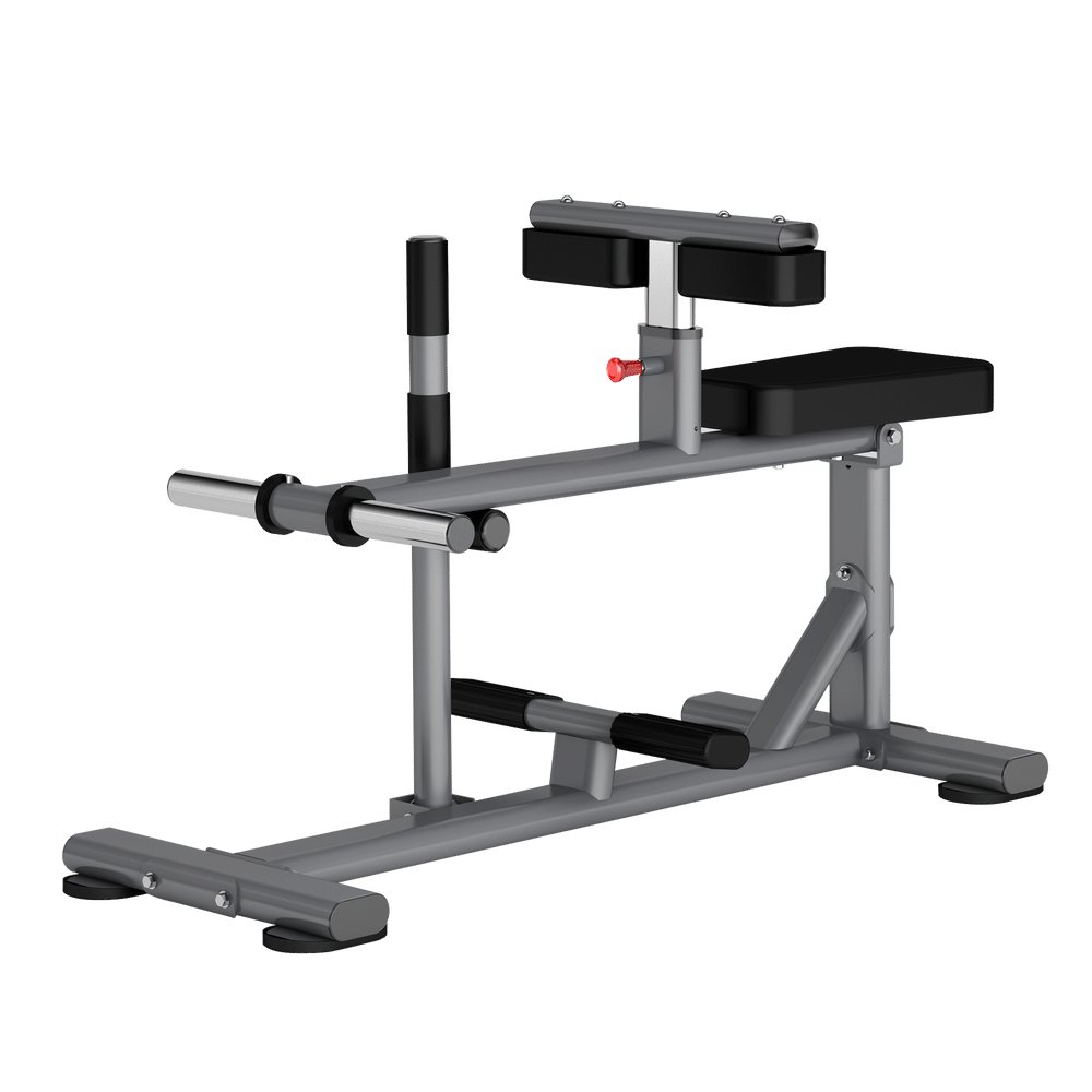 Seated Calf Raise