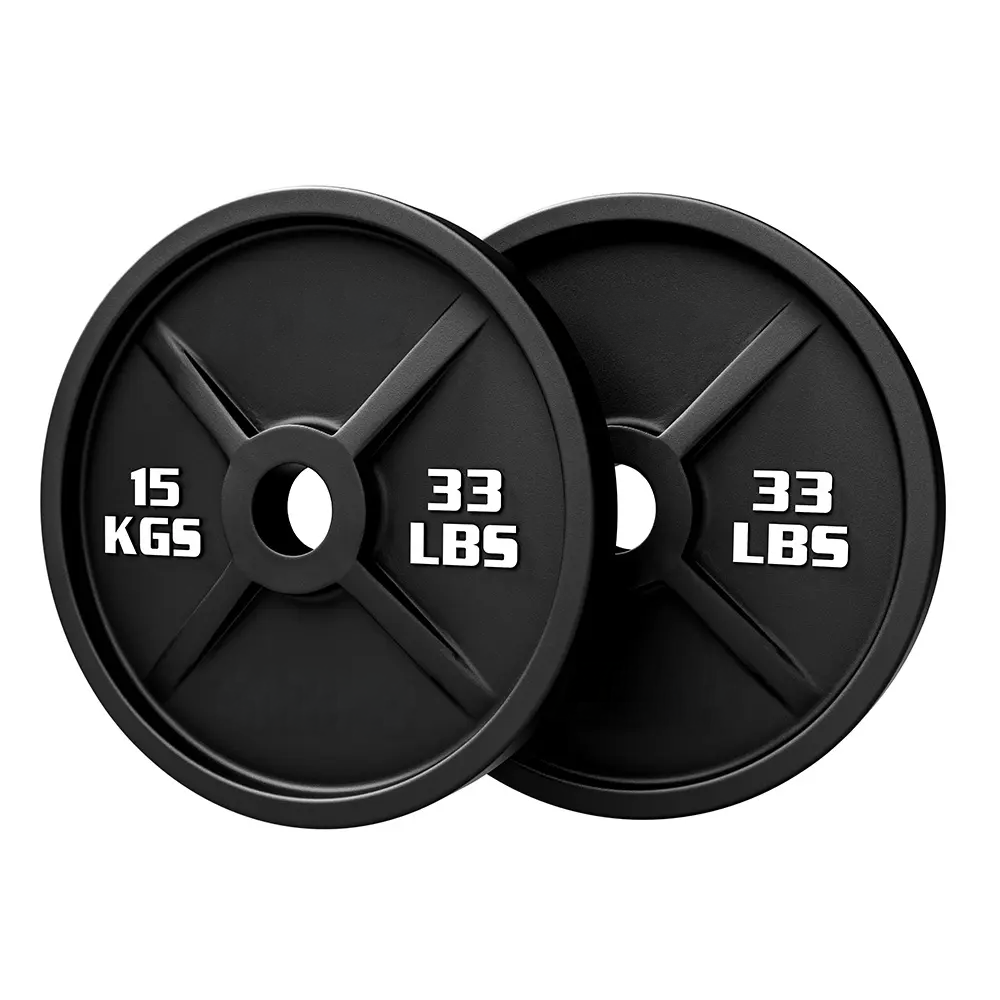 DFX Cast Iron Weight Plate - Afbeelding 1