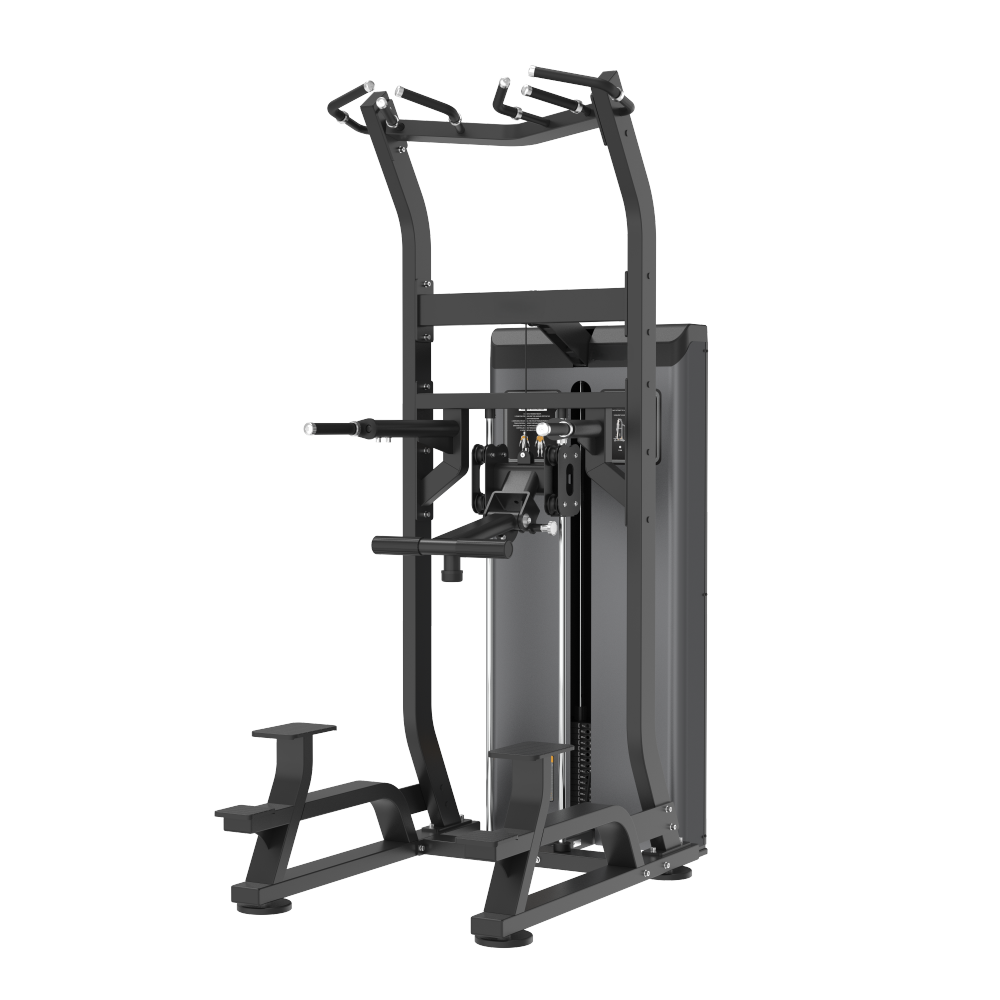 EA Series Assisted chin dip - Afbeelding 1