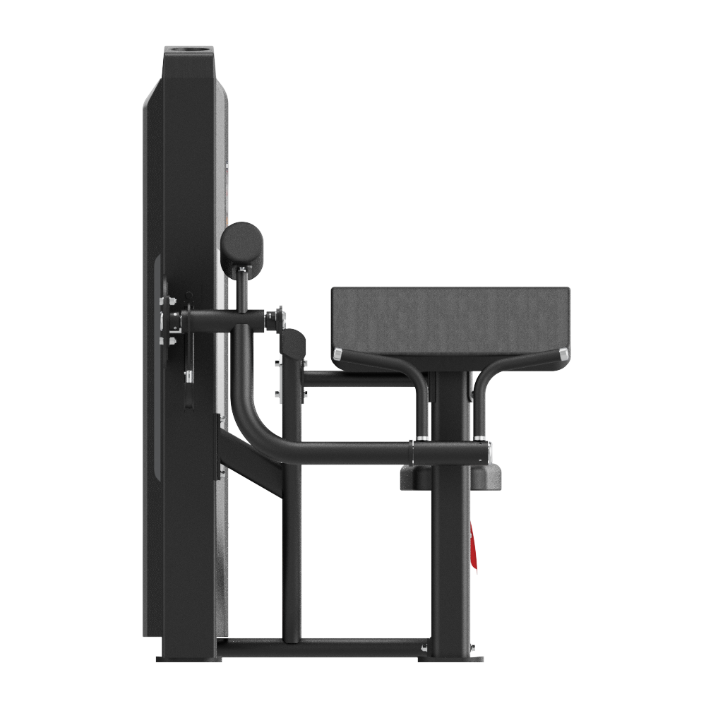 SB50 Series Biceps Curl - Thumbnail 2