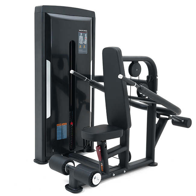 SB50 Series Triceps Dips - Afbeelding 1