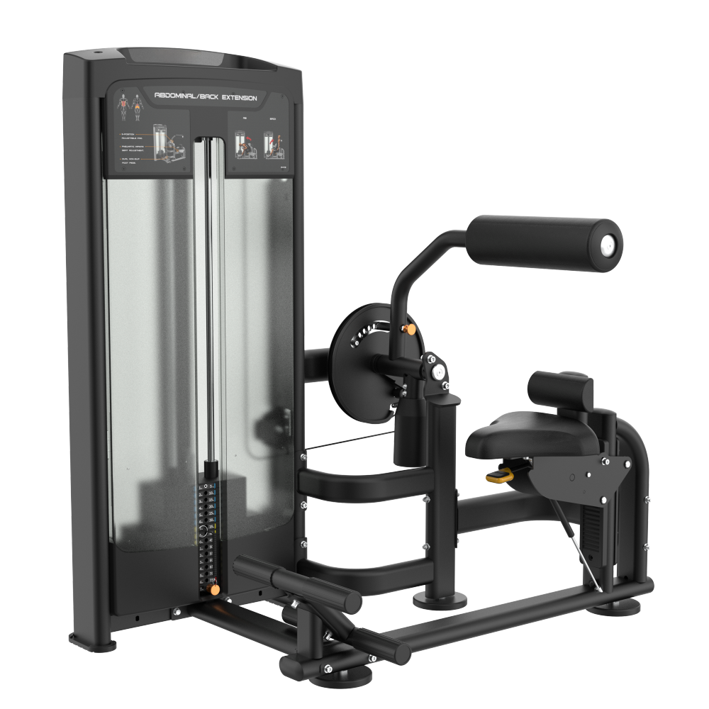 DFX Abdominal Back - Afbeelding 1